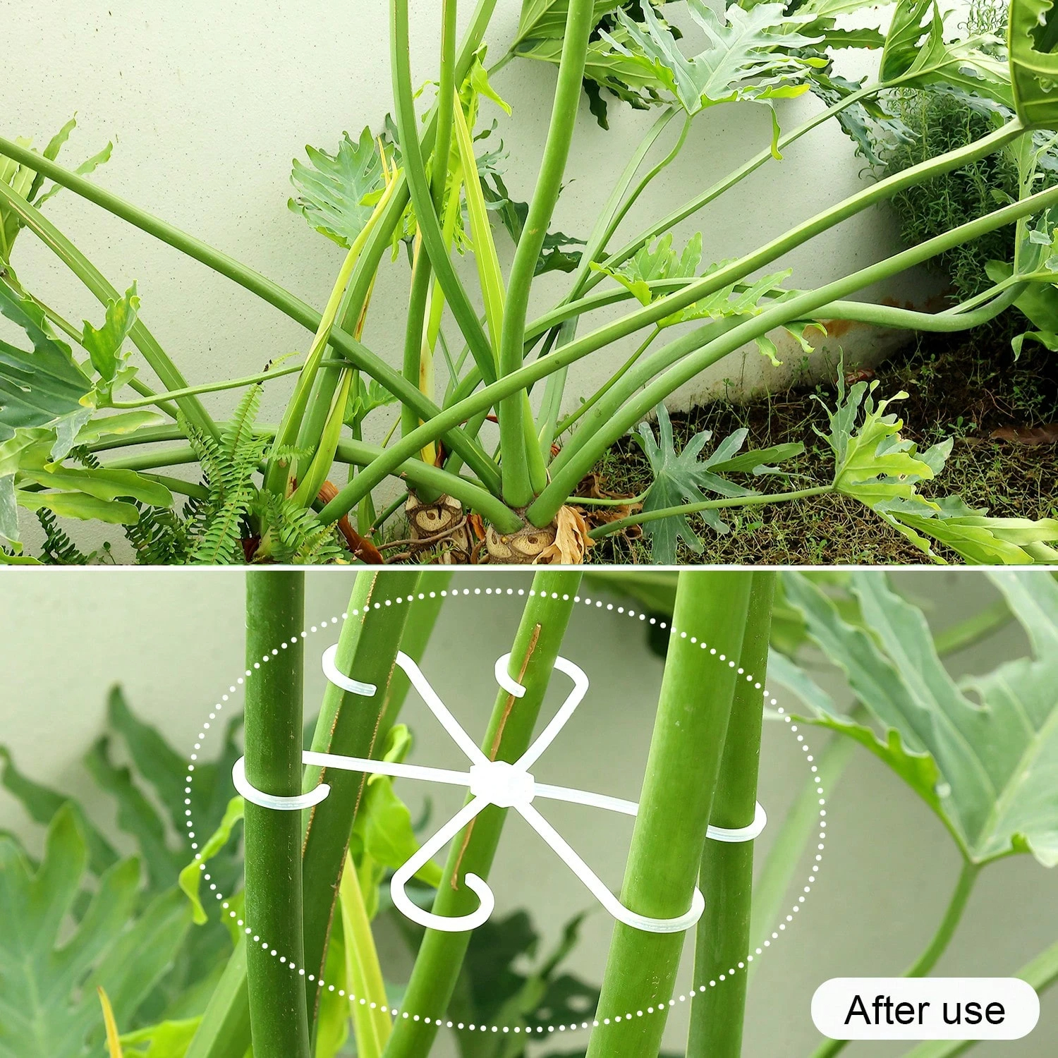 1Pc Plastic Plant Support Clip - огляд і ціна Vine Climbing Plastic