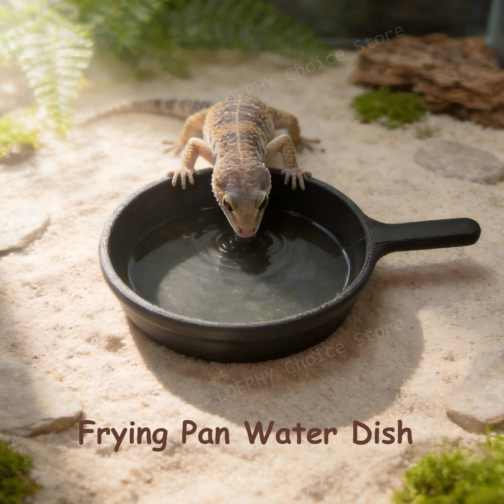 Funny Frying Pan Design Gecko  - огляд і ціна Water Dish Reptile