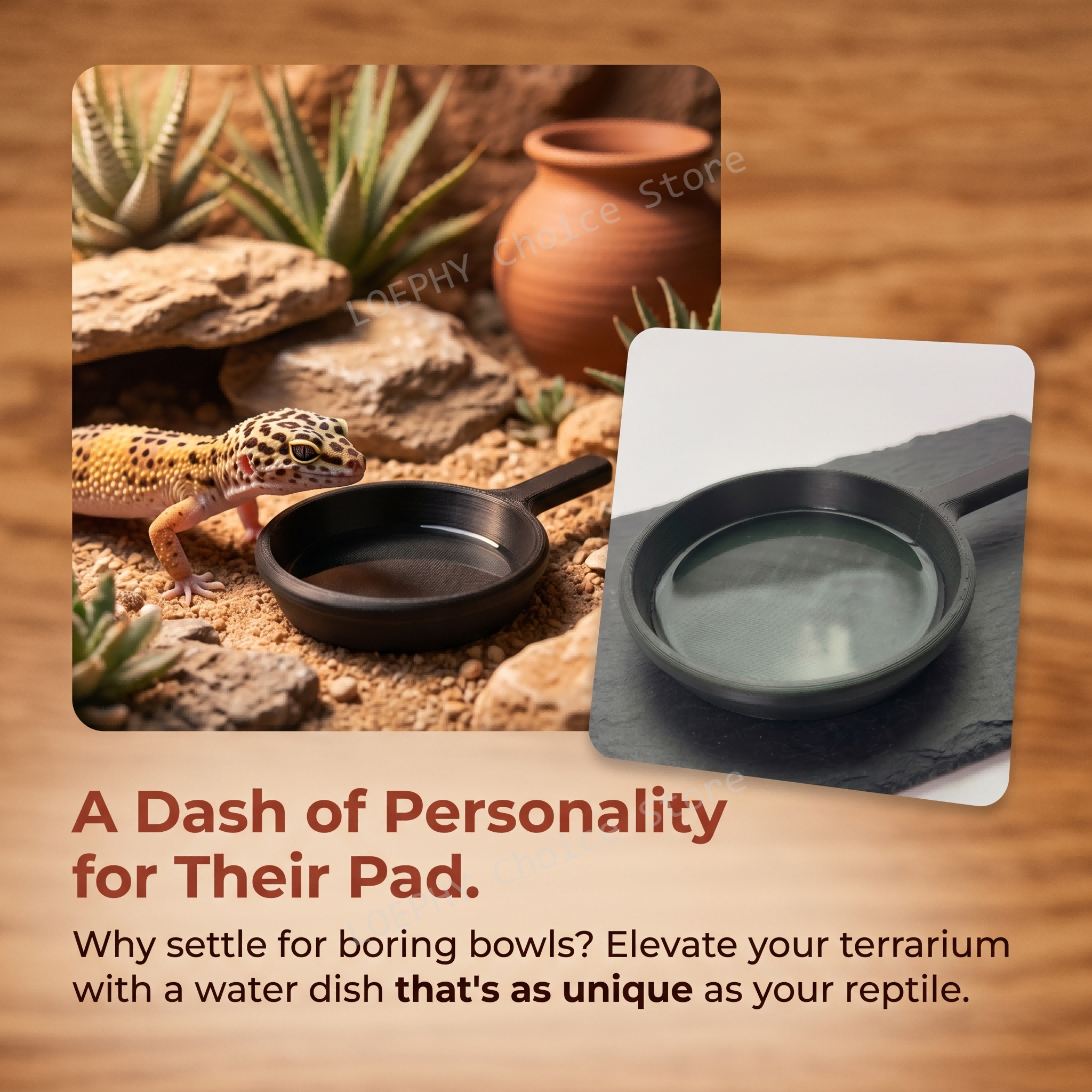 Funny Frying Pan Design Gecko  - огляд і ціна Water Dish Reptile