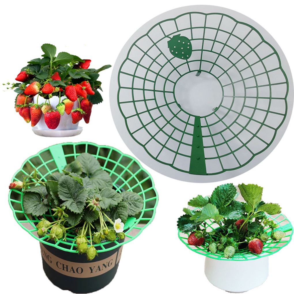 20PCS Strawberry Stand Green C - огляд і ціна Vine Climbing Plastic