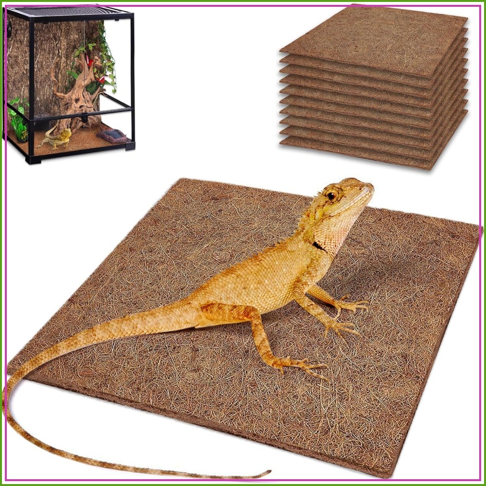 10 Pcs Natural Coconut Fiber R - огляд і ціна Substrate Coconut Fiber
