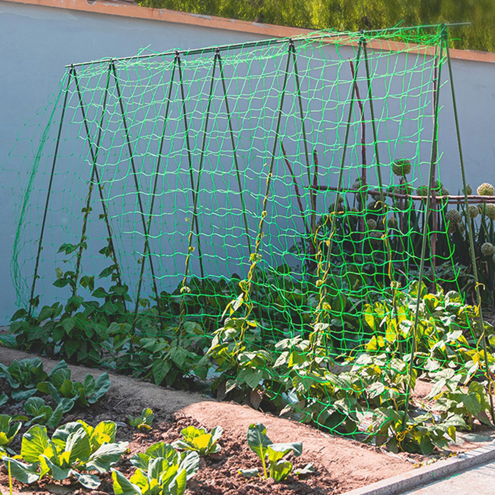 Garden Netting Plant Vine Grow - огляд і ціна Vine Climbing Plastic