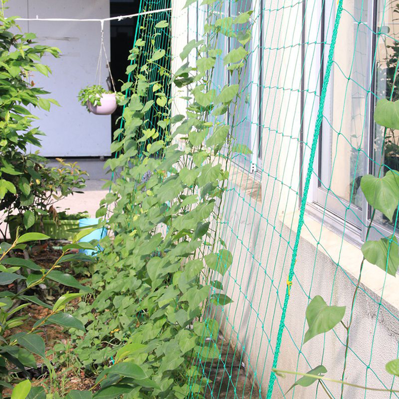 Garden Netting Plant Vine Grow - огляд і ціна Vine Climbing Plastic