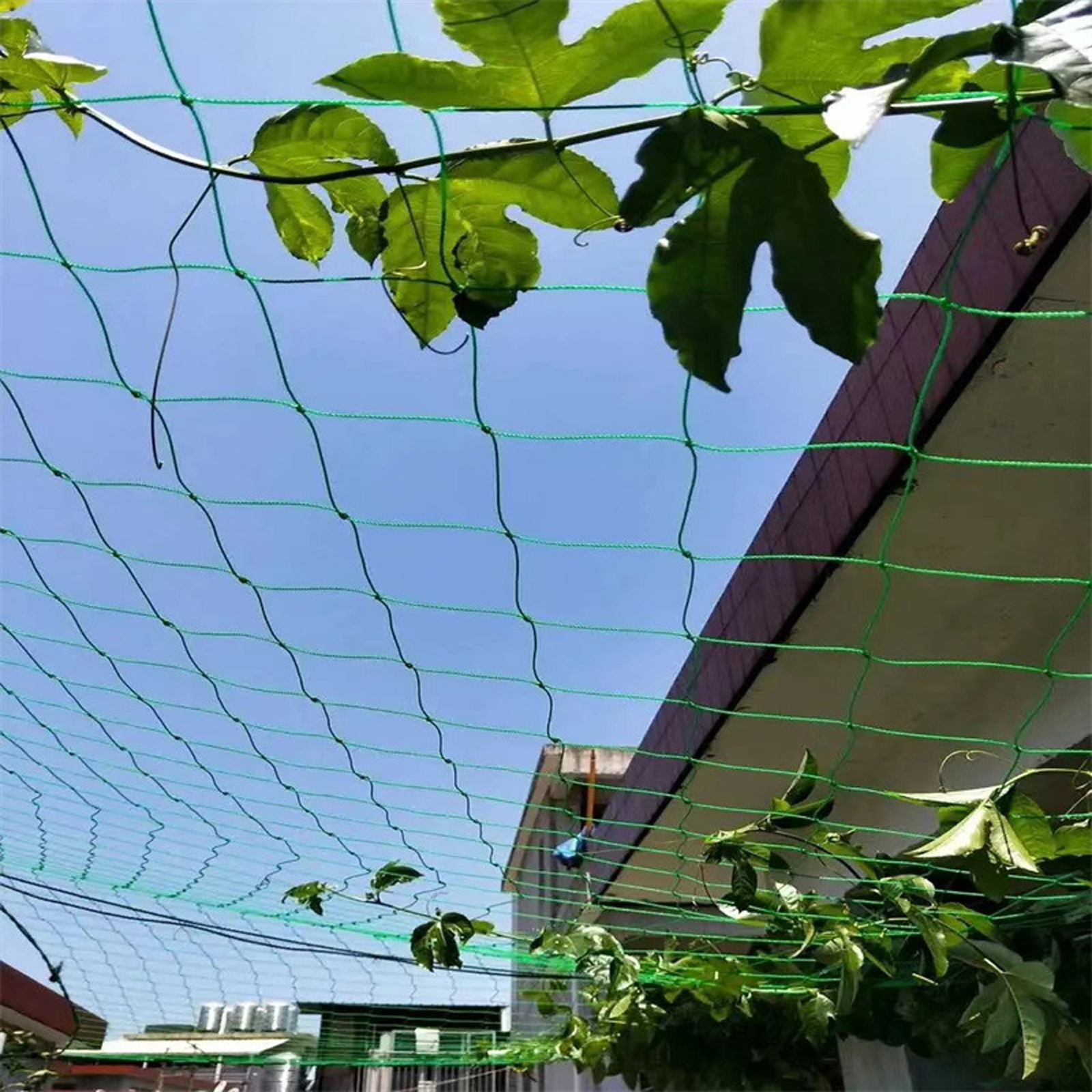 Garden Netting Plant Vine Grow - огляд і ціна Vine Climbing Plastic