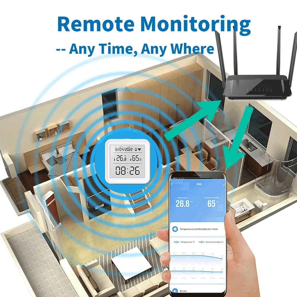 Tuya New WiFi Temperature Humi - огляд і ціна Digital Hygrometer Probe