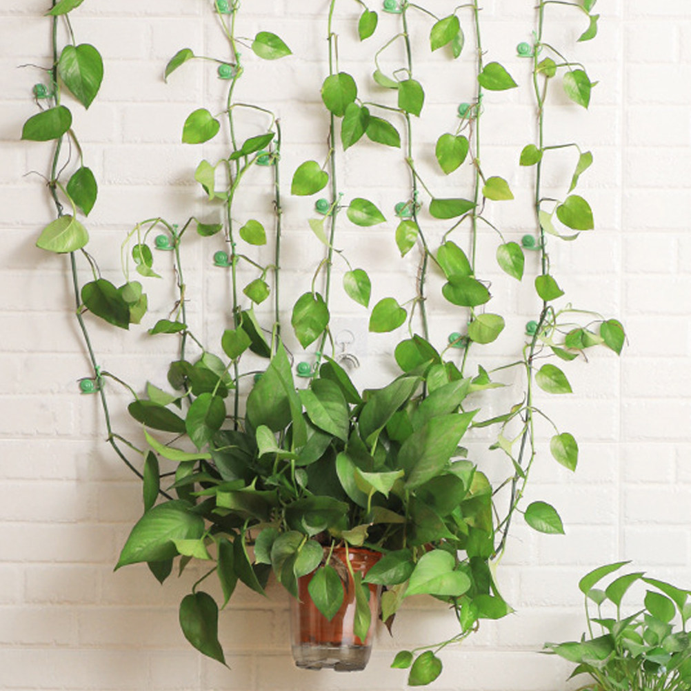 20Pcs Plant Climbing Wall Clip - огляд і ціна Vine Climbing Plastic