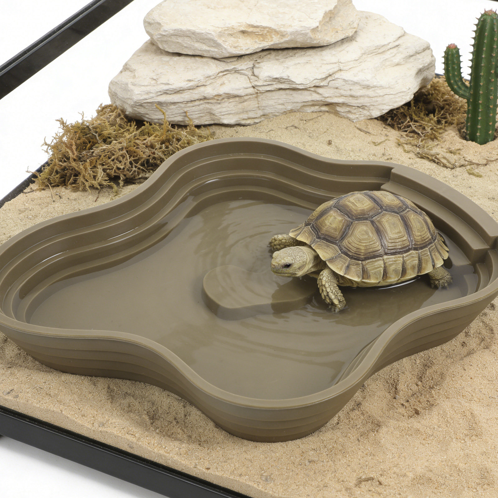 Large Turtle Reptile Bathing P - огляд і ціна Water Dish Reptile