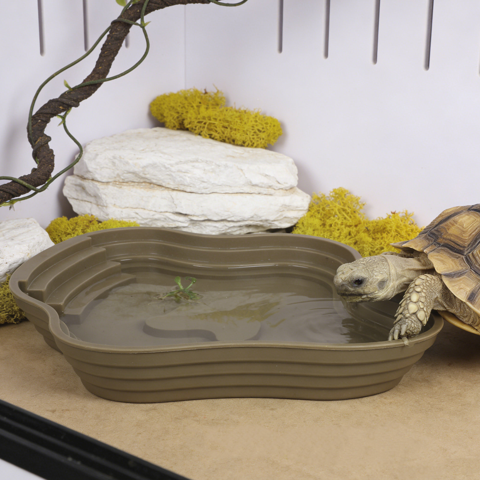 Large Turtle Reptile Bathing P - огляд і ціна Water Dish Reptile