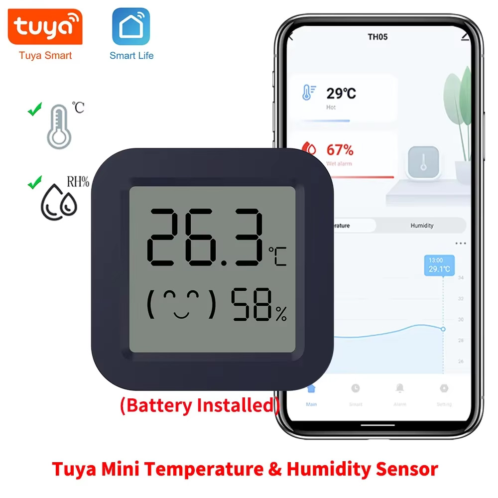 Mini Smart Thermometer Hygrome - огляд і ціна Digital Hygrometer Probe