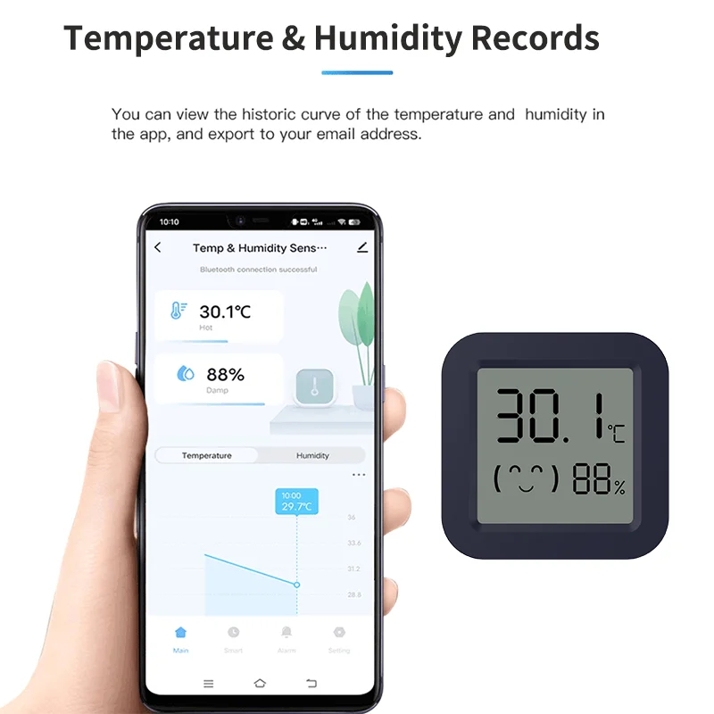 Mini Smart Thermometer Hygrome - огляд і ціна Digital Hygrometer Probe