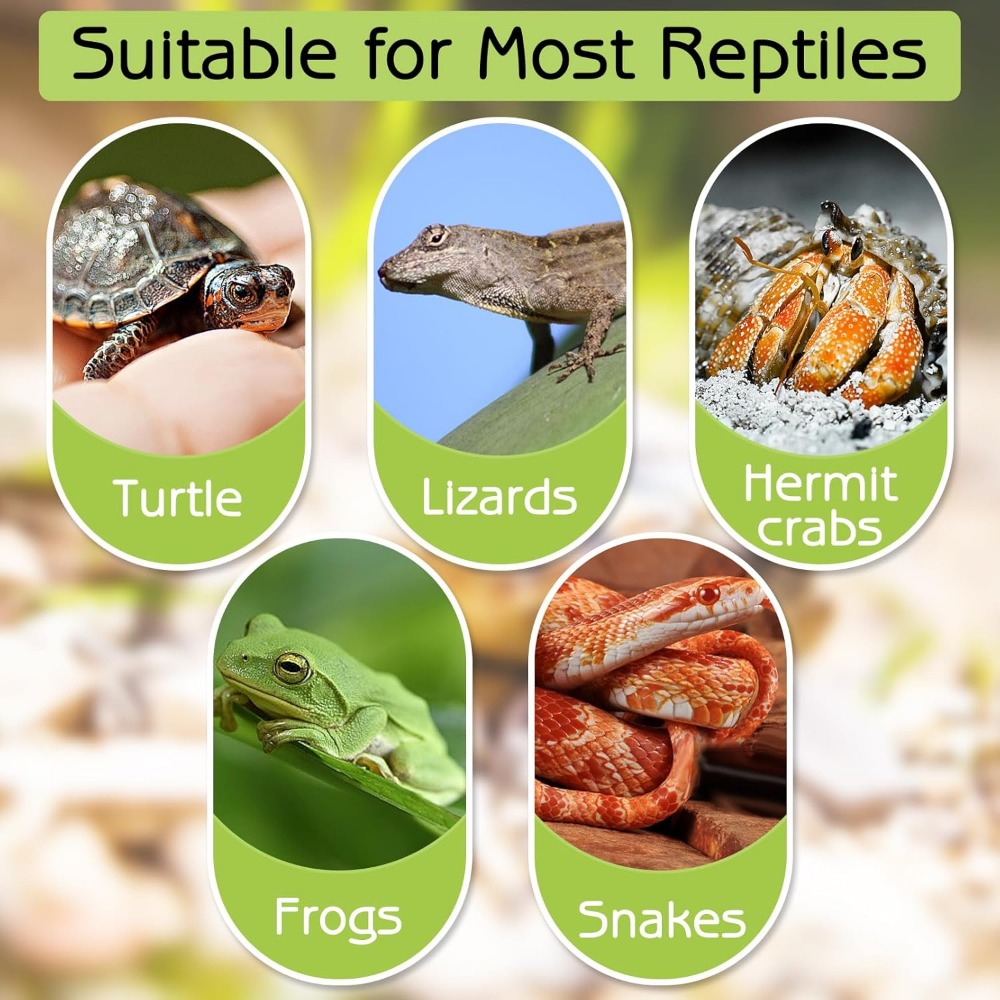Turtle Bathing Pool Feeding Di - огляд і ціна Water Dish Reptile