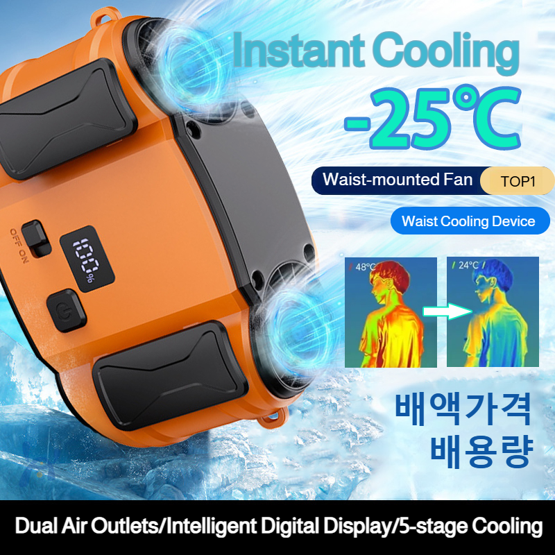Outdoor Double Air Outlet Fan  - огляд і ціна Timer Dual Outlet