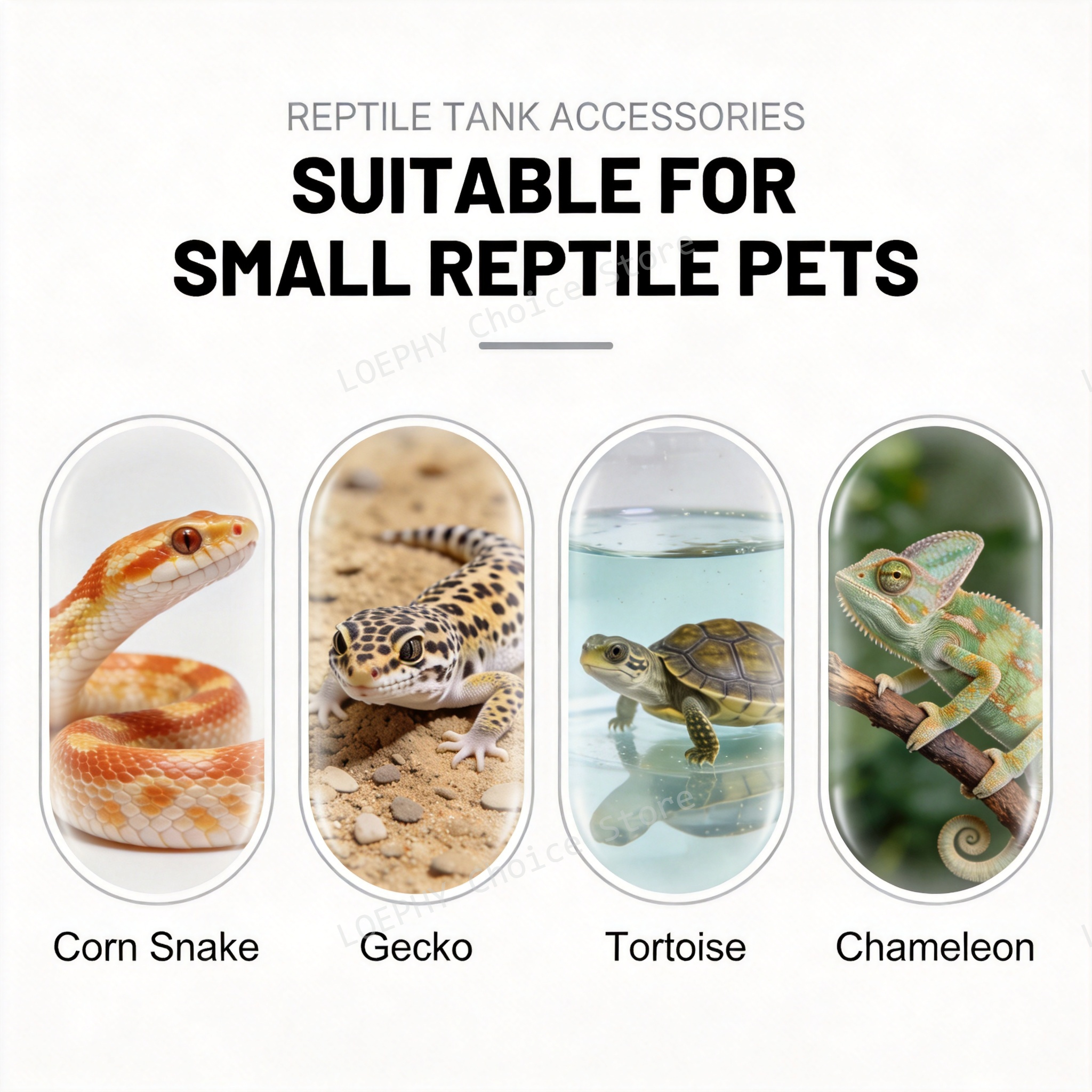 Castle Reptile Water Bowl Lion - огляд і ціна Water Dish Reptile