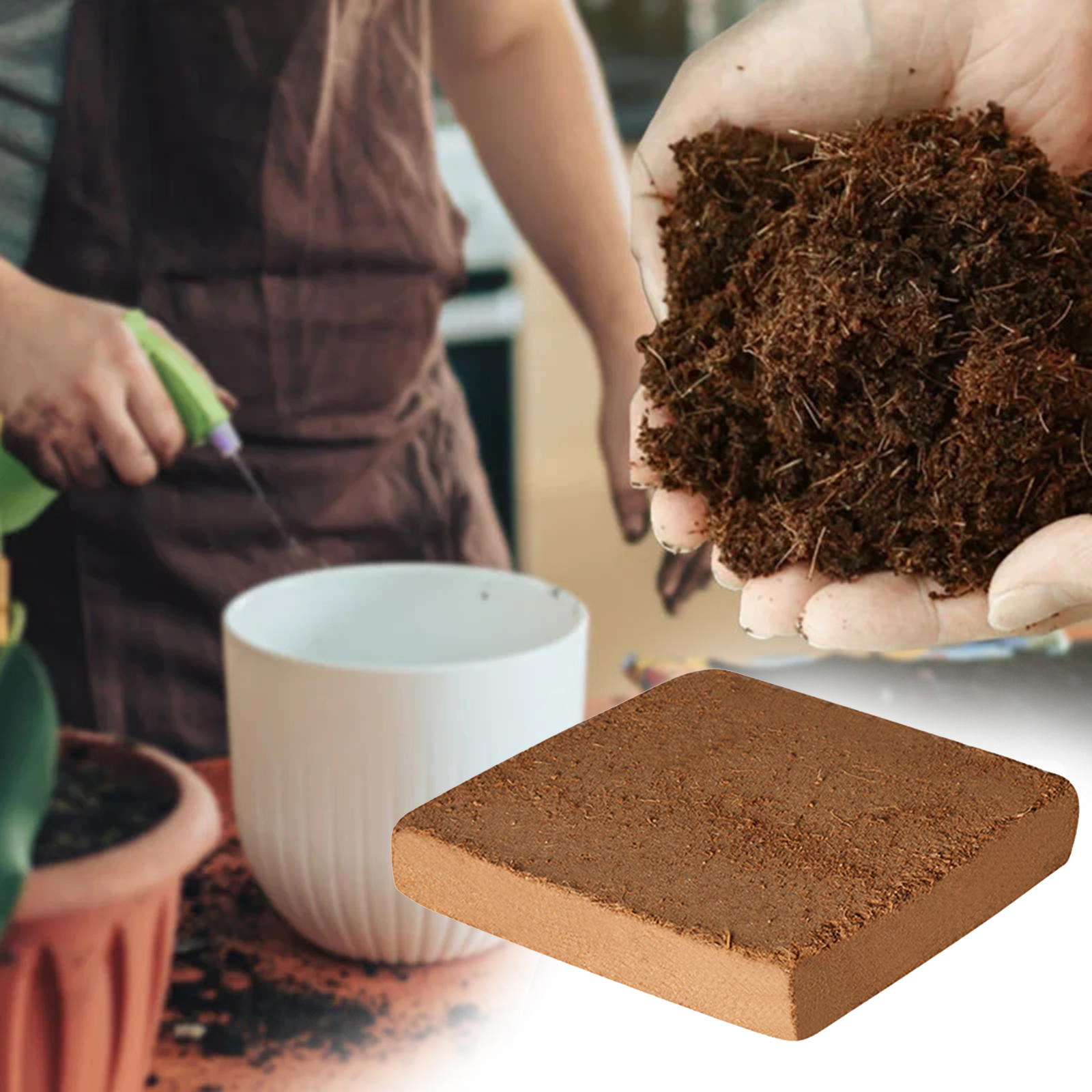 Soil Coconut Fibre Terrarium S - огляд і ціна Substrate Coconut Fiber