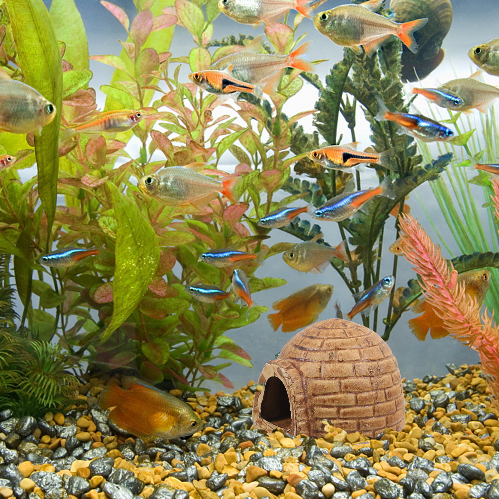 Ceramic Pleco Caves for Aquari - огляд і ціна Hide Cave Ceramic